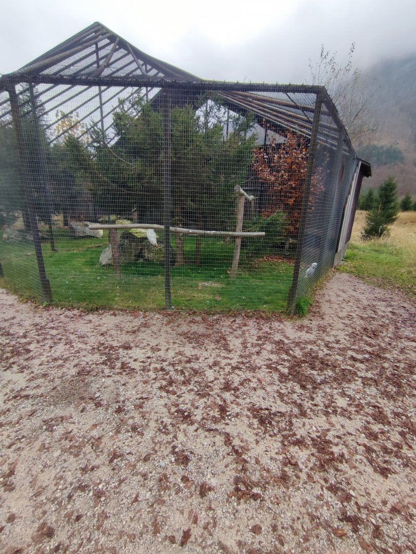 Snowy owl enclosure - Wildpark Grünau/Cumberland