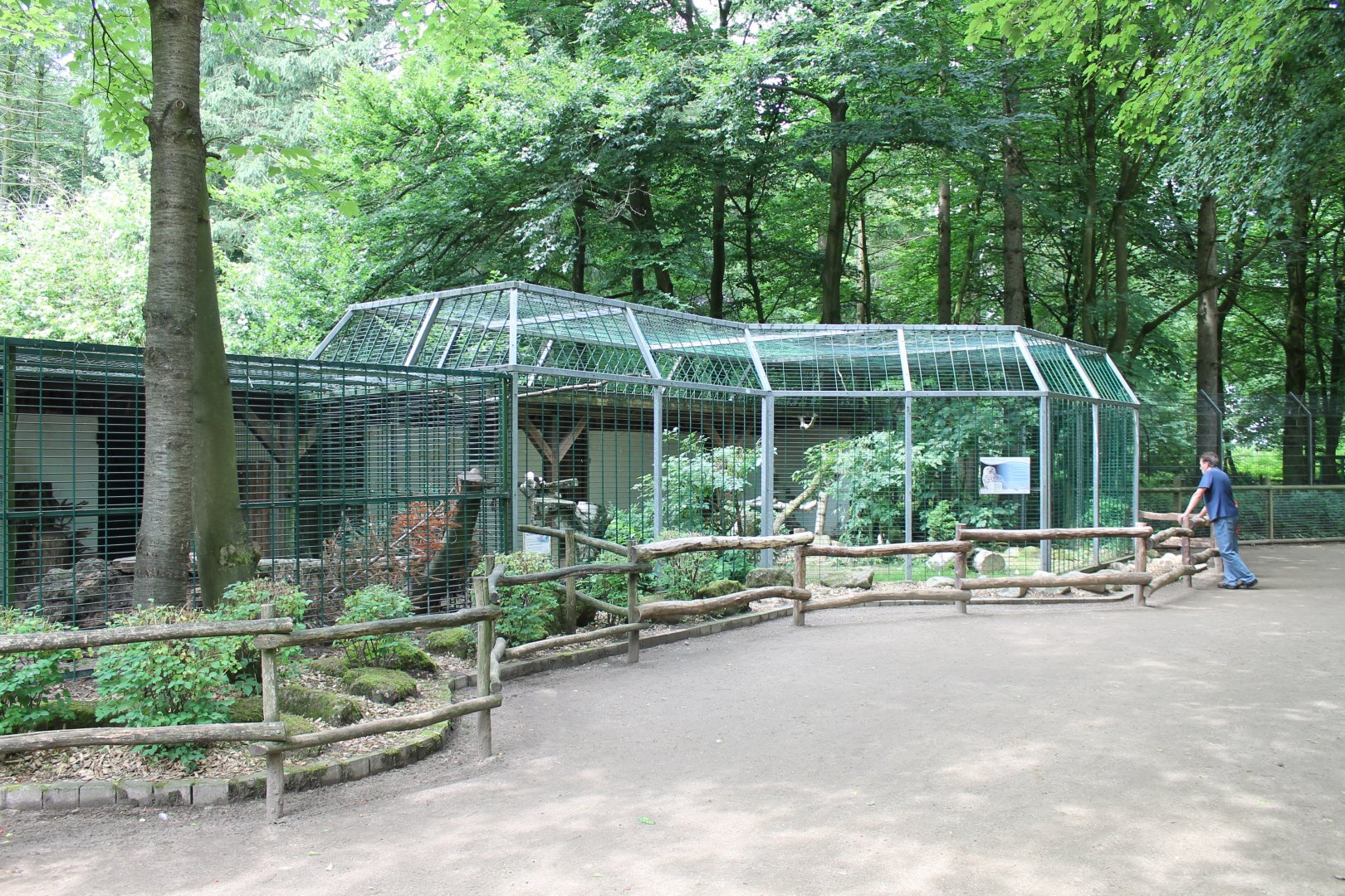 Snowy owl enclosure