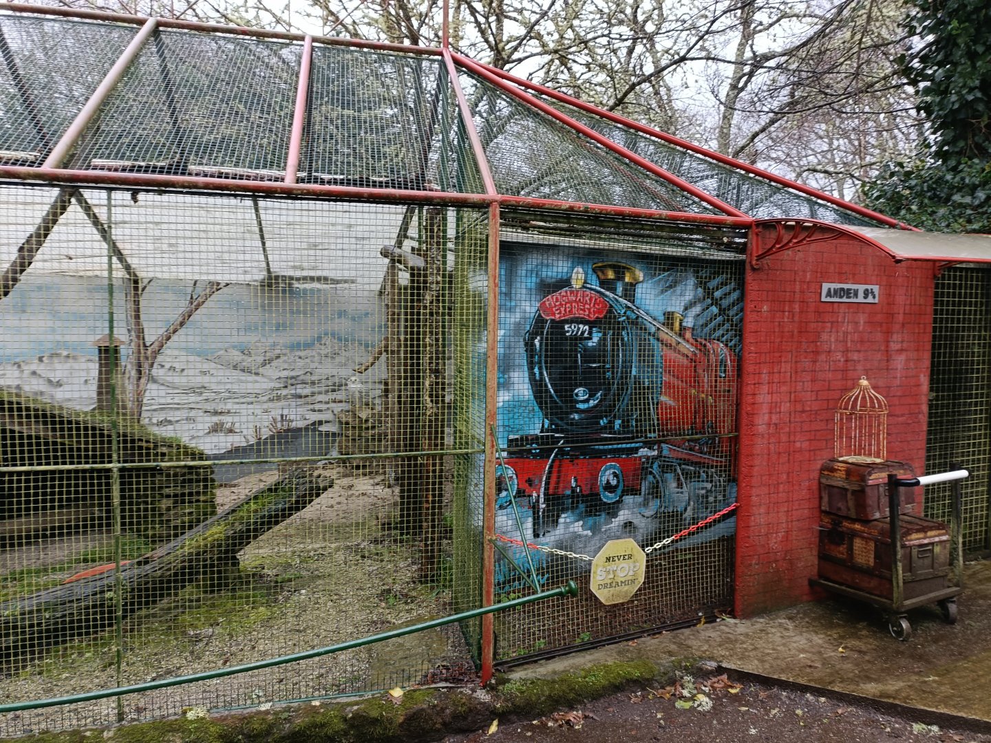 Snowy owl exhibit - Avifauna Lugo