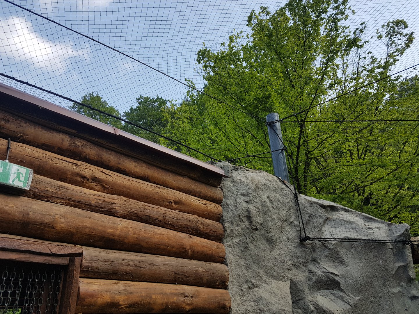 Snowy Owl Walkthrough Aviary, Details