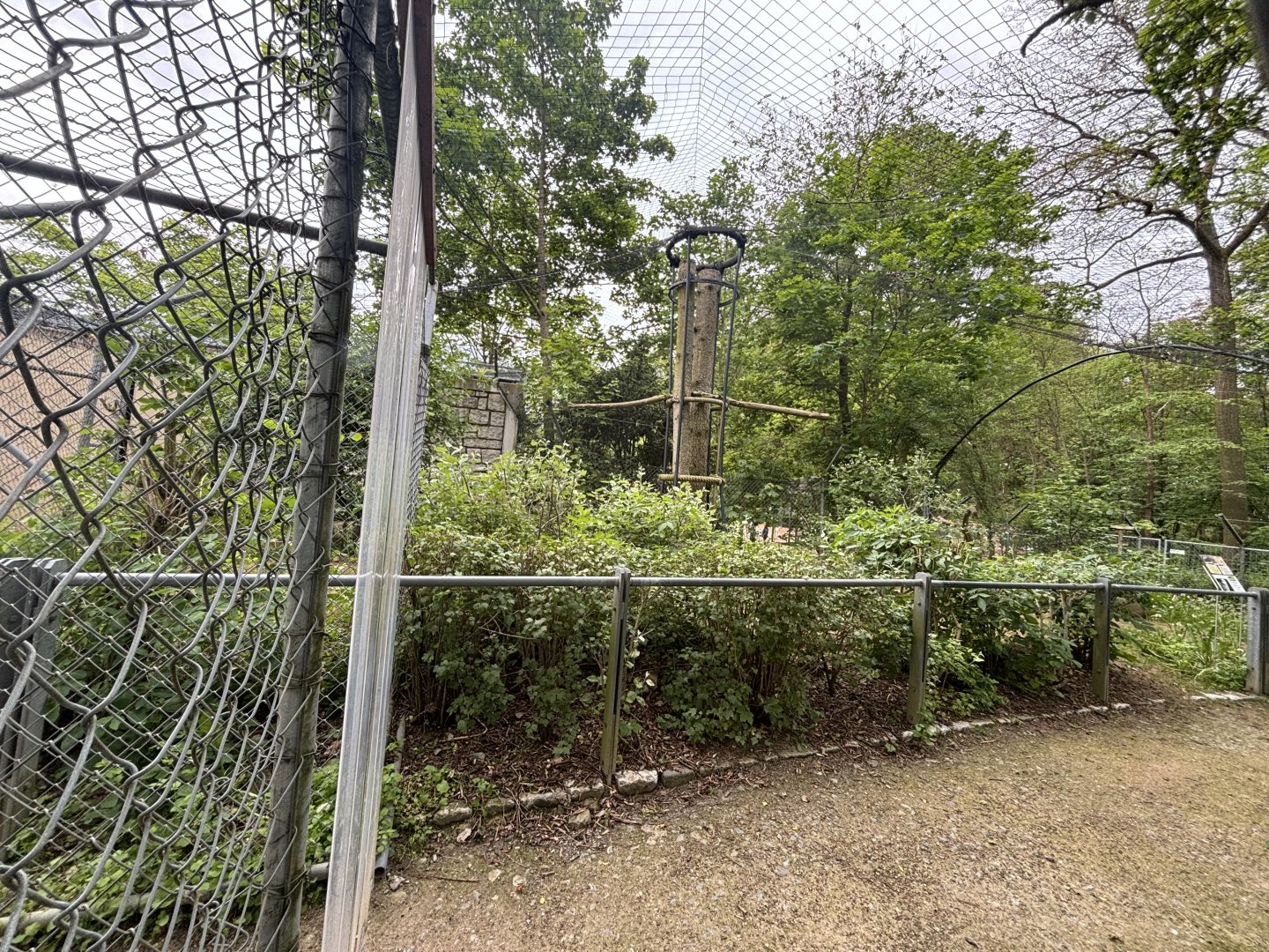 Snowy Owl Walkthrough Enclosure at Zoologischer Garten Hof