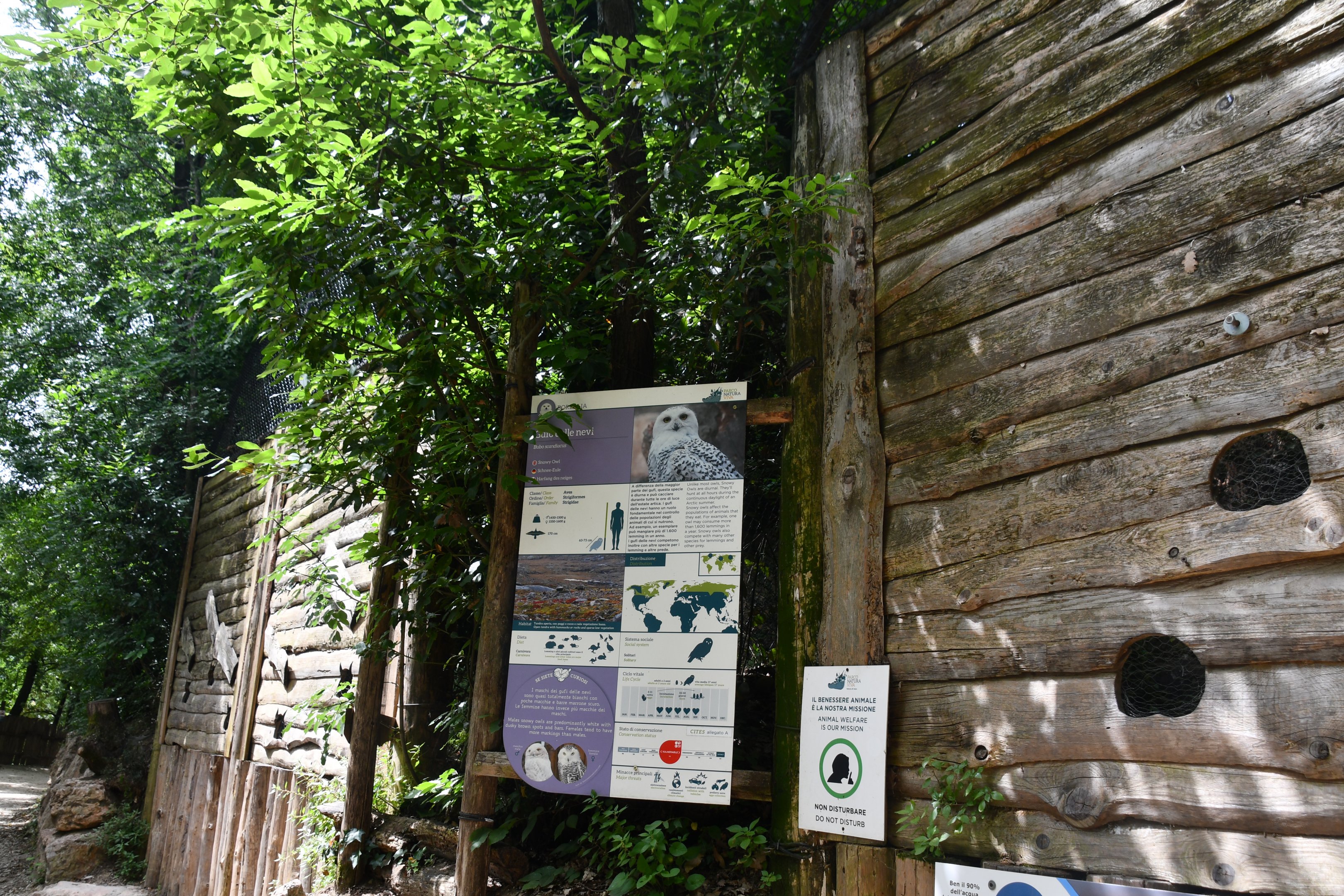 Snowy Owls and Siberian Eagle Owl aviaries
