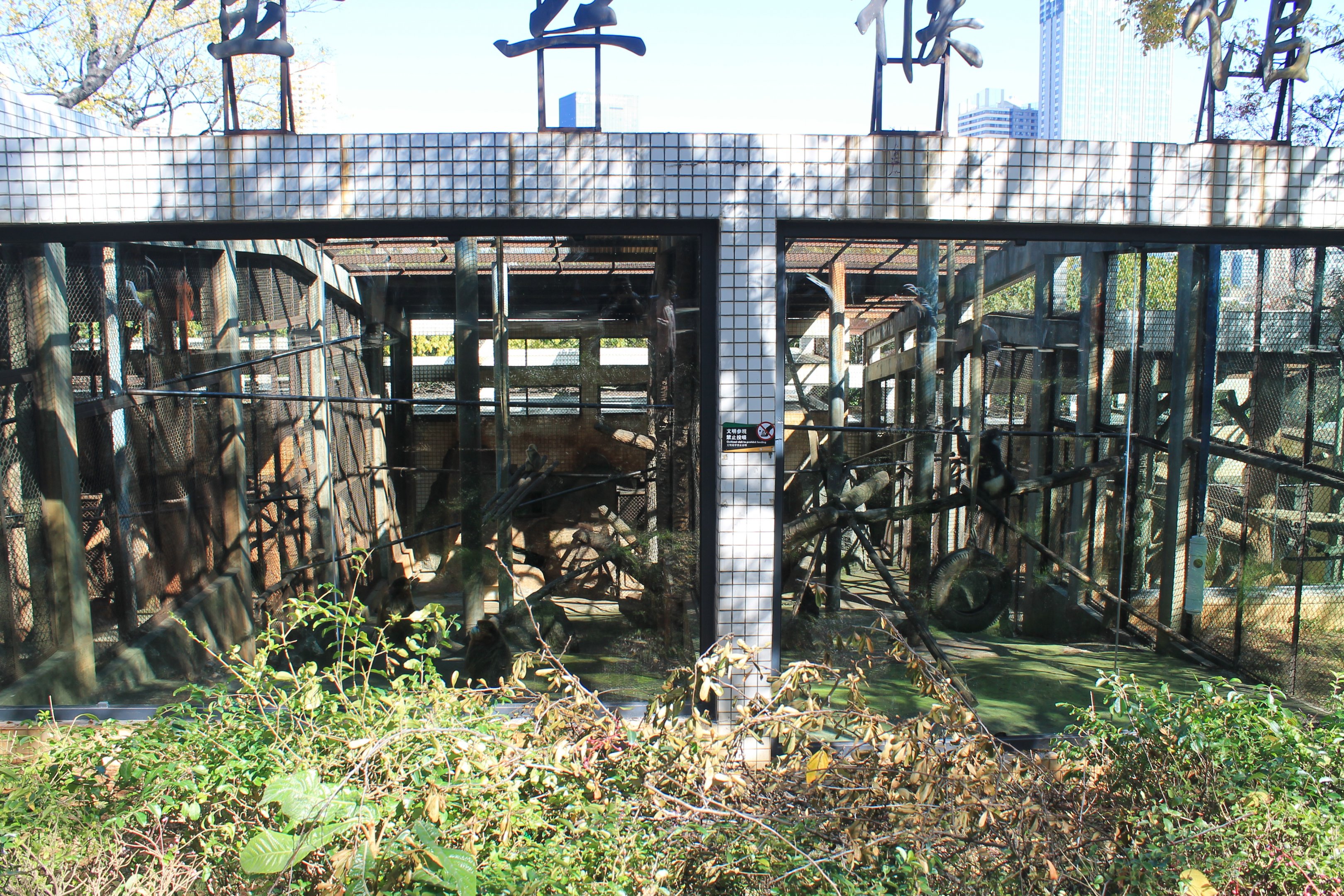 Snub-nosed Monkey cages