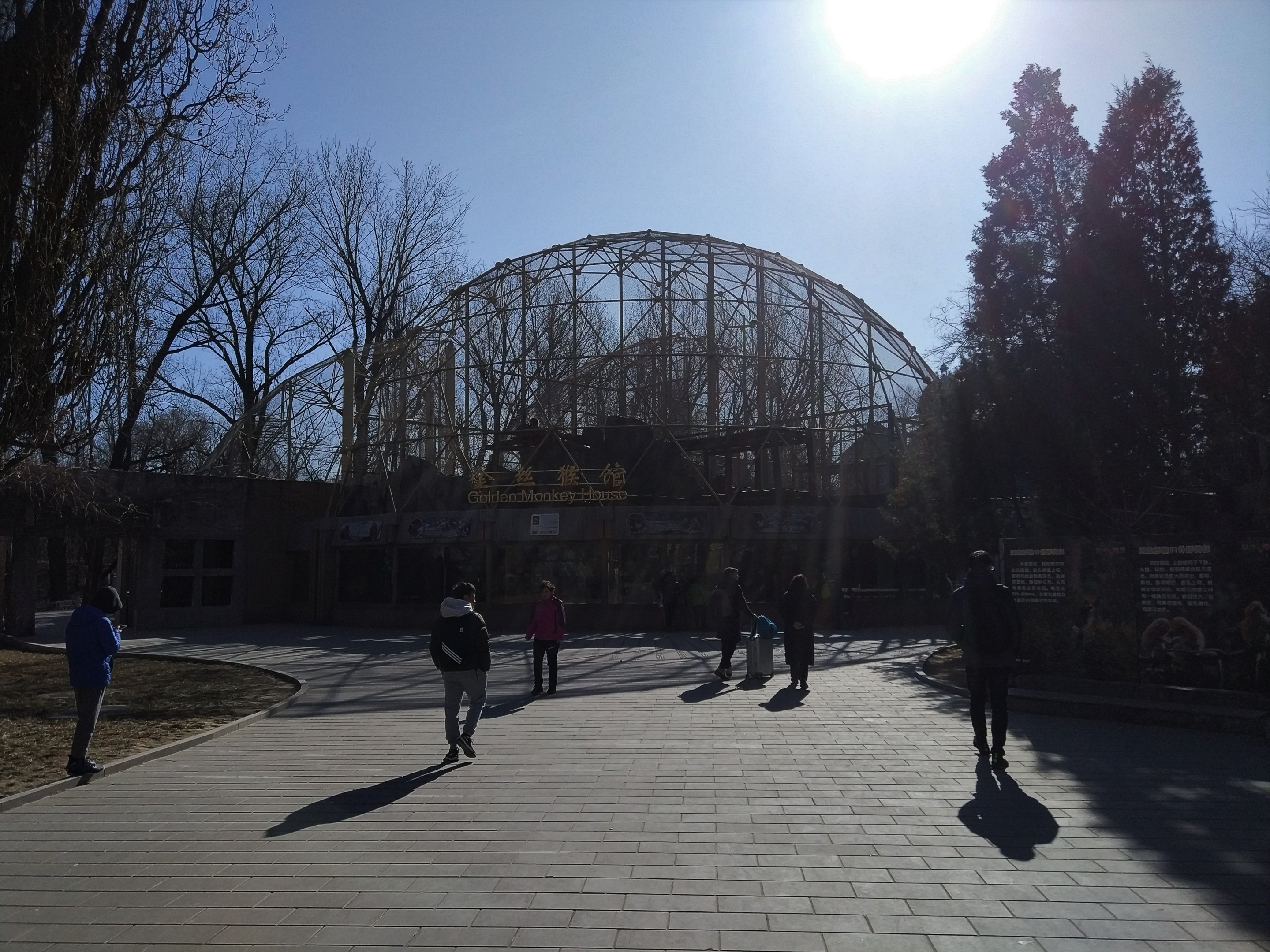 Snub-nosed Monkey Complex