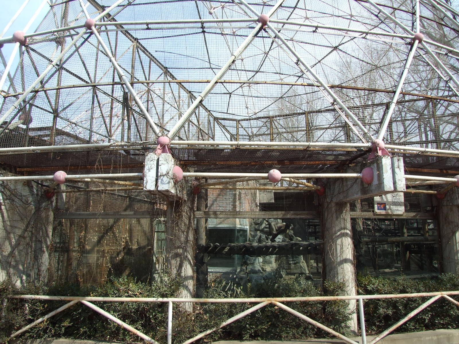 Snub-nosed monkey enclosure