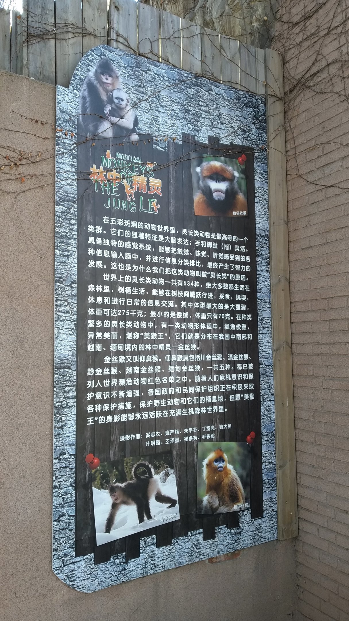 Snub-nosed Monkey Signage