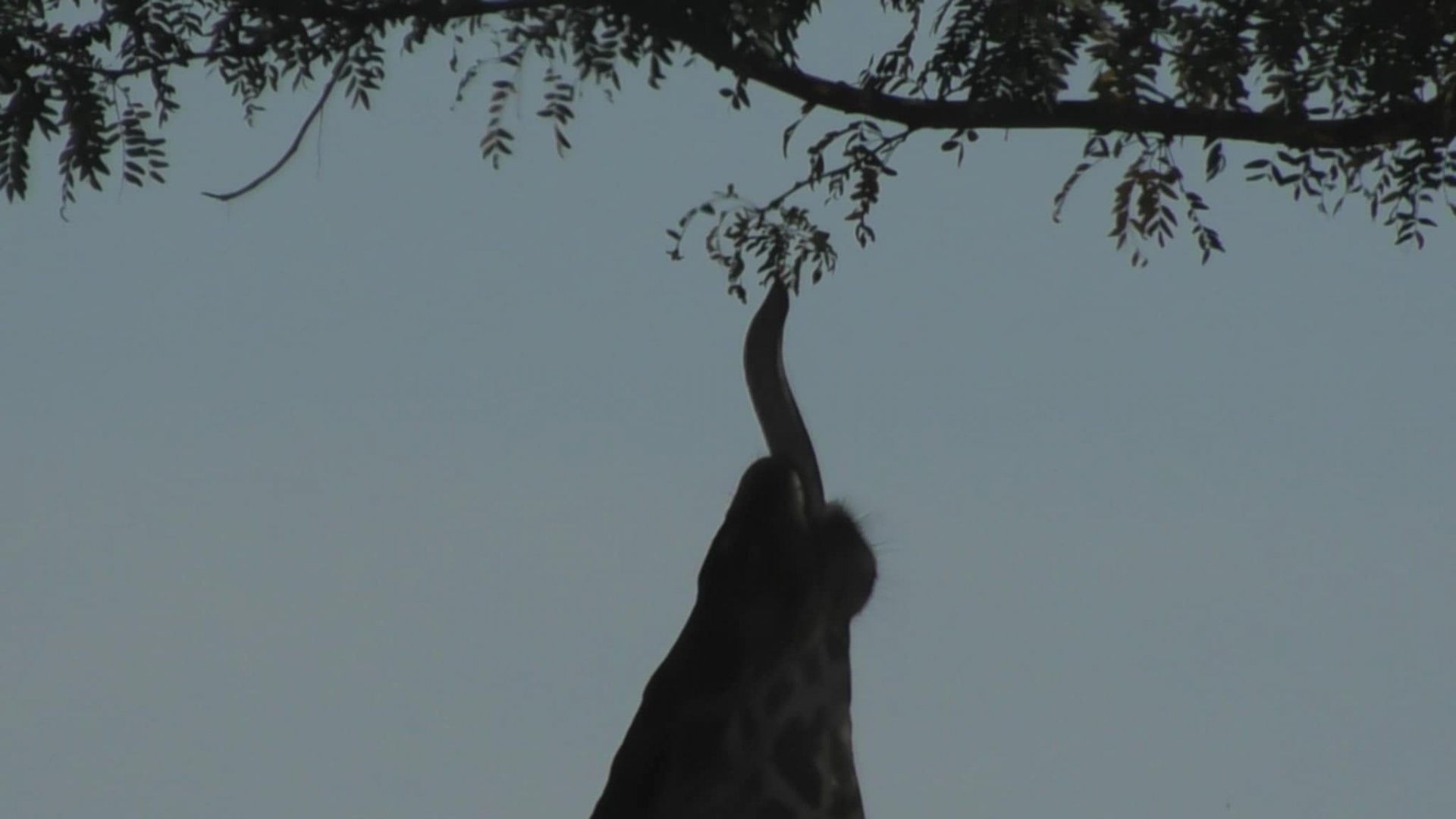 So close I can feel it