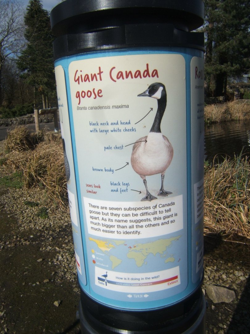 So I wasn't going mad they did have them didn't see them on this visit 26/03/2019