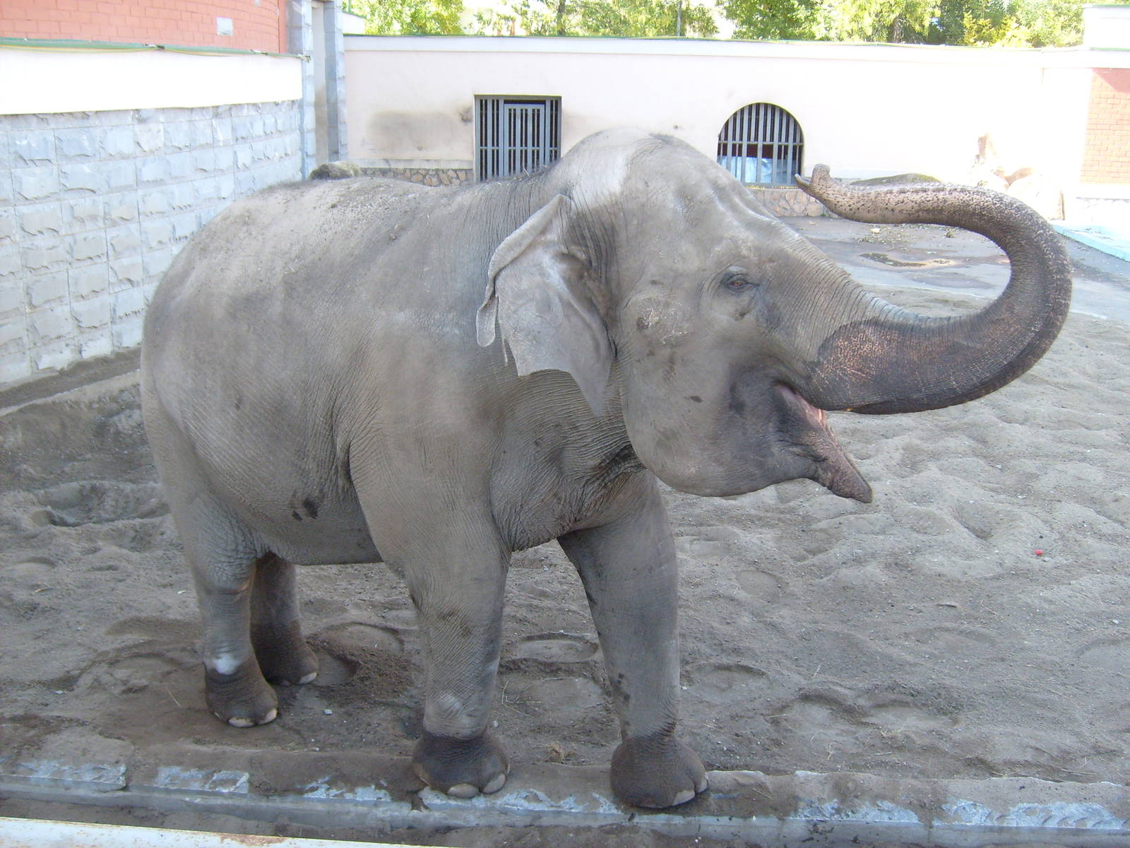 So long, and thanks for all the bananas!