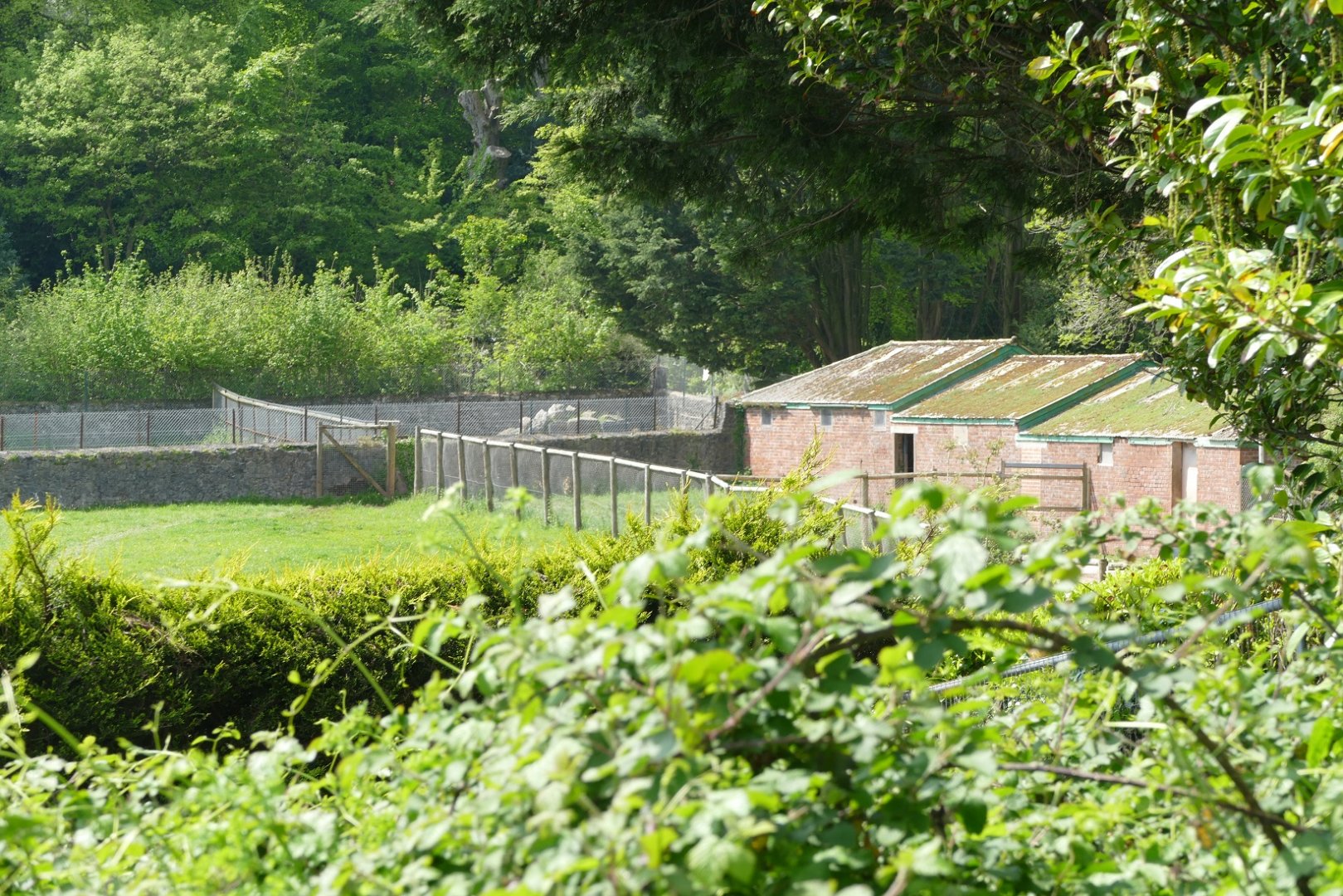 So near yet so far.... May 2020