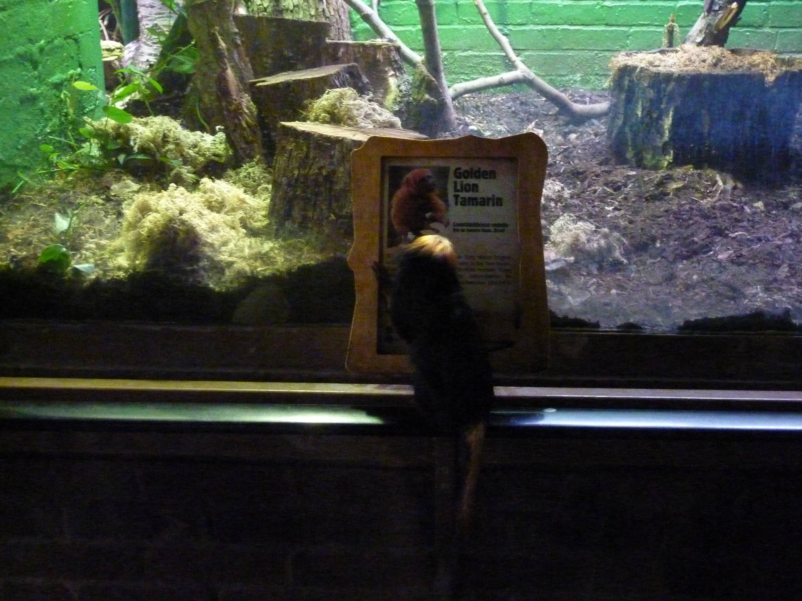 So the education programme works. 30th September 2012.