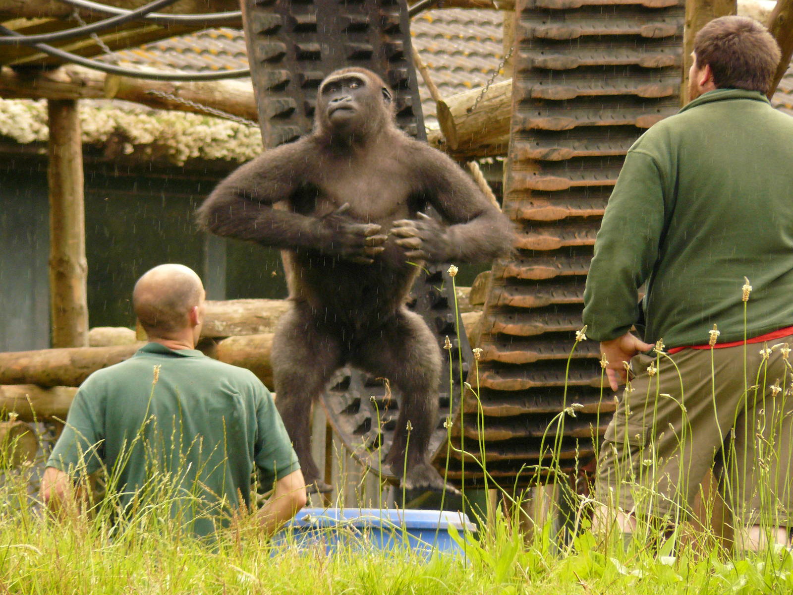 SO WHOSE IN CHARGE HERE?