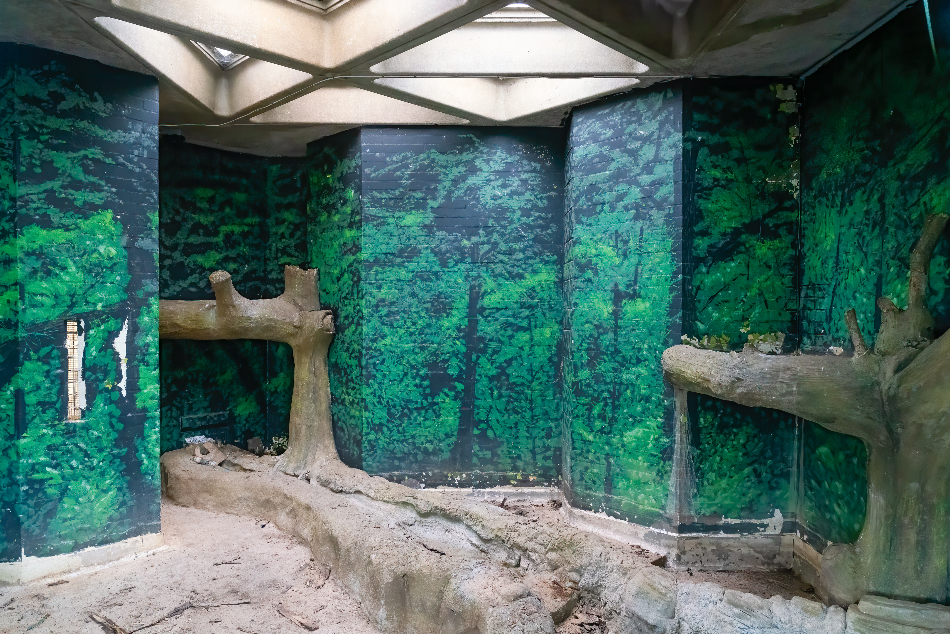 Sobell Pavilion Primate Indoor Enclosures - 15/11/2019