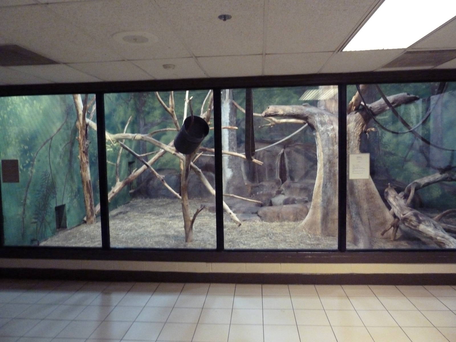 Social Building - Fossa Exhibit