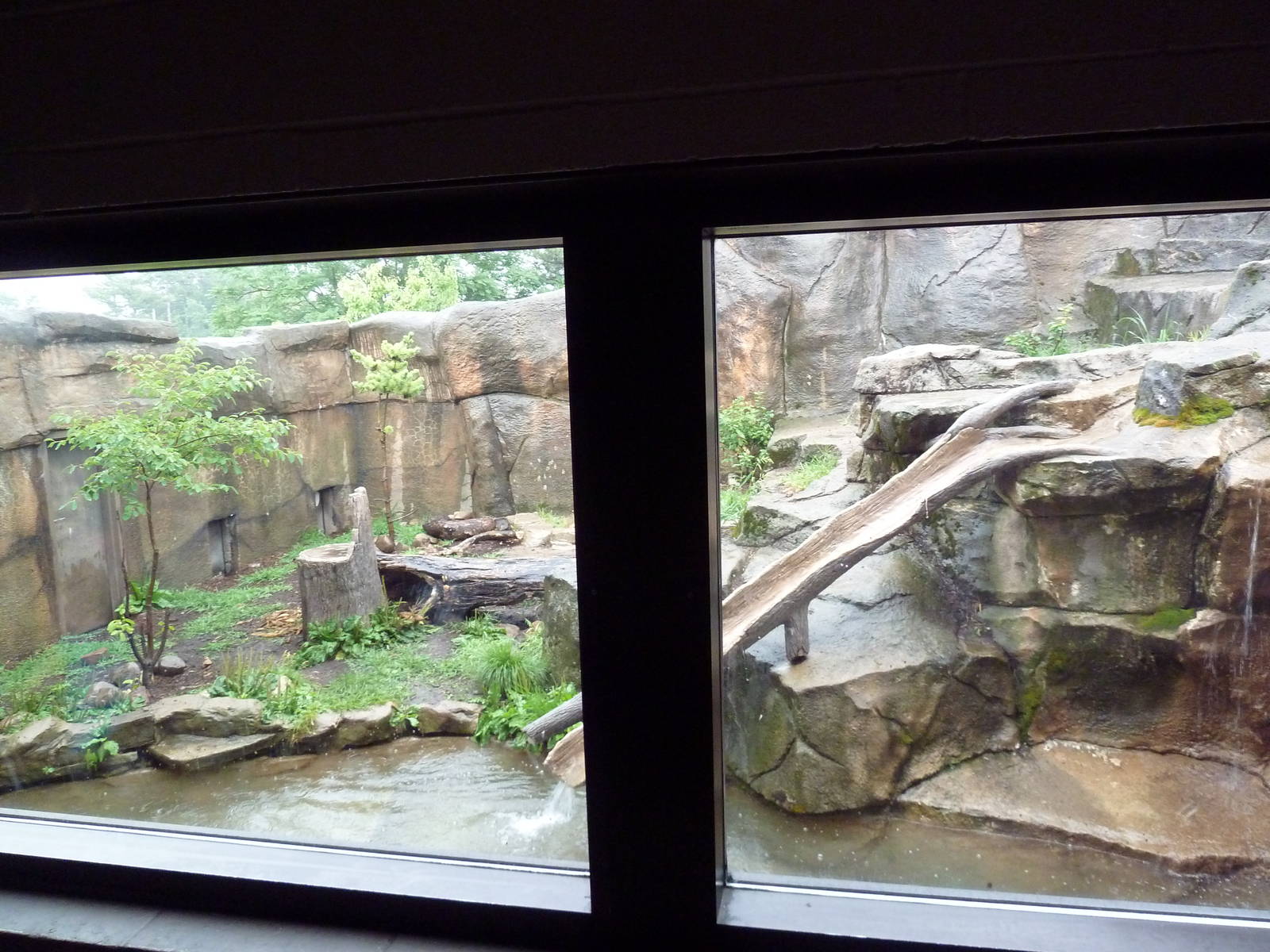 Social Building - River Otter Exhibit