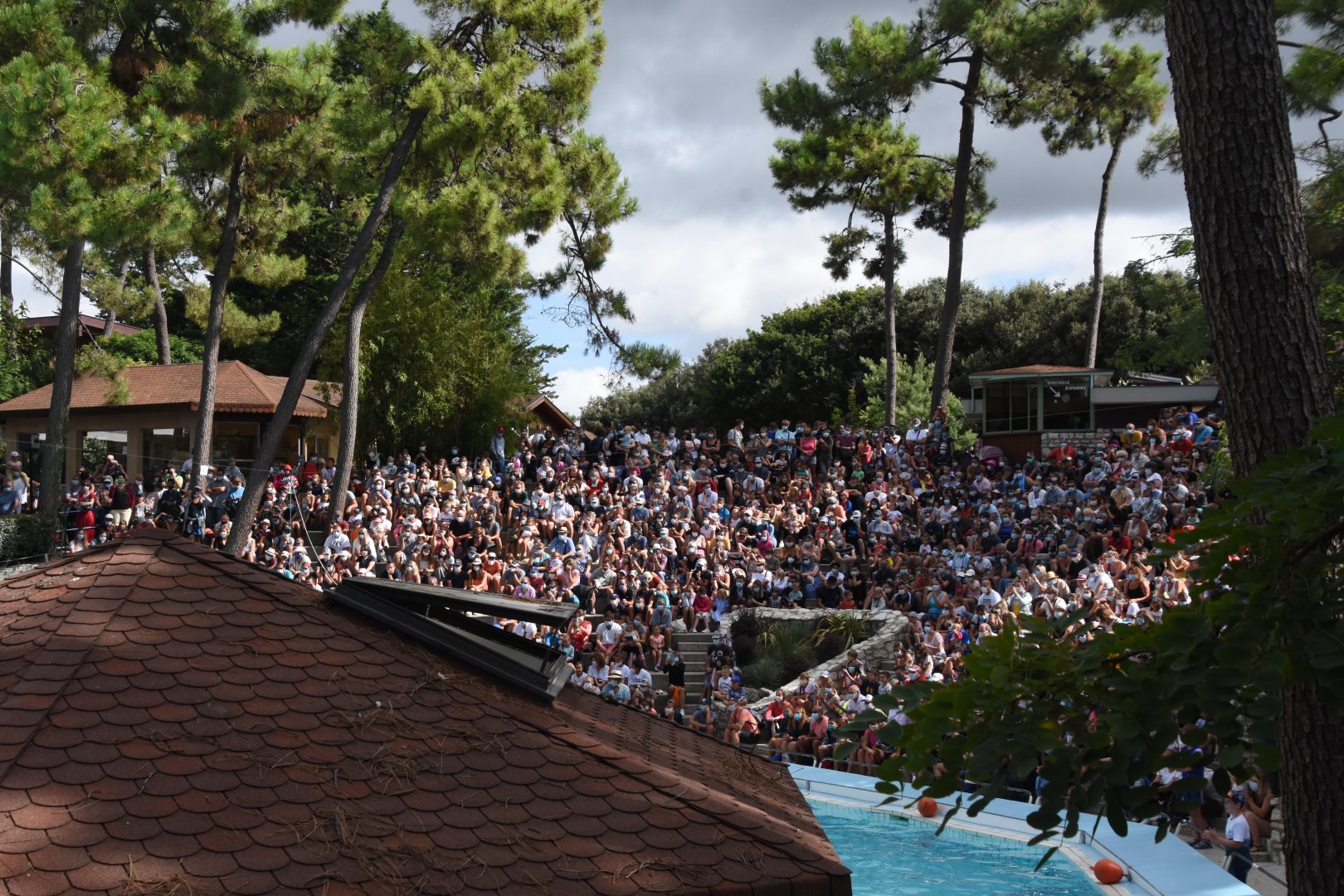 Social distancing at the sea lion show....