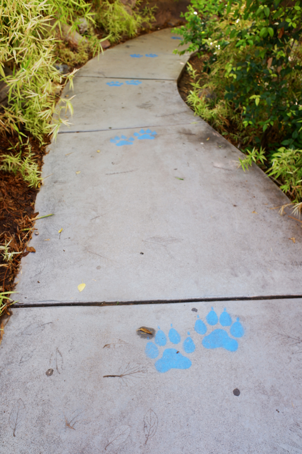 Social distancing markers