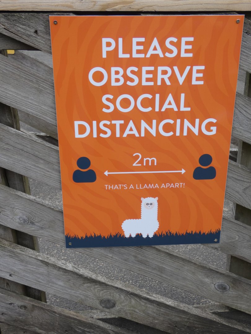 Social distancing signage
