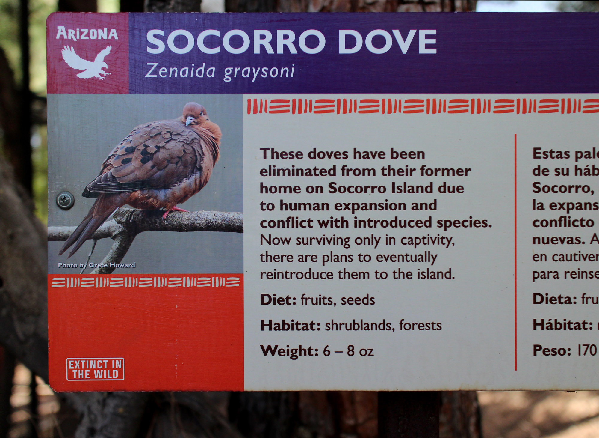 Socorro dive signage