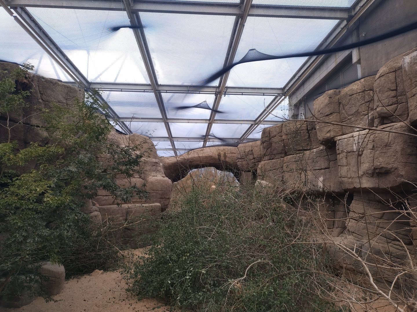 Socorro dove aviary in burgers desert