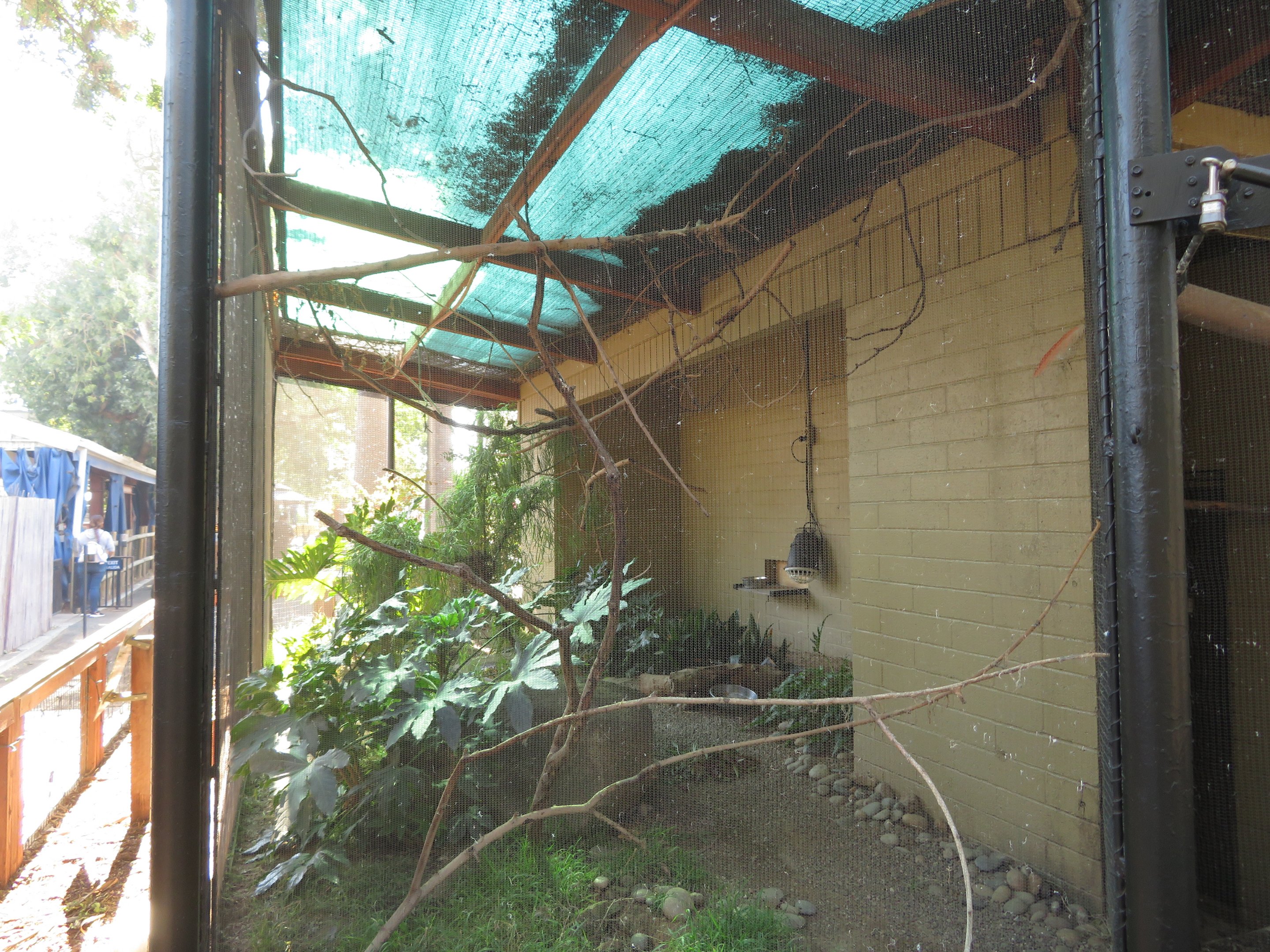 Socorro Dove Exhibit