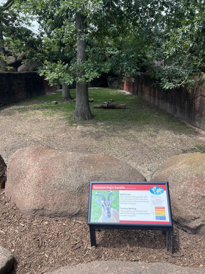 Soemmerring’s Gazelle Exhibit