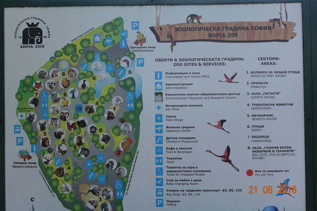 Sofia Zoo 21.8.16