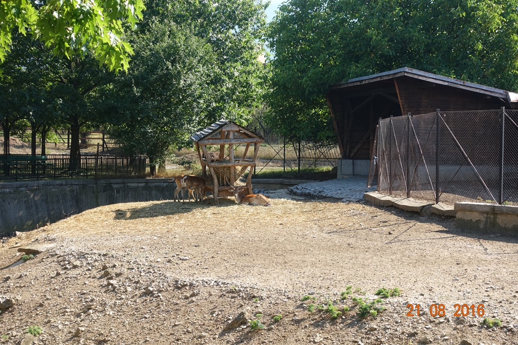 Sofia Zoo 21.8.16