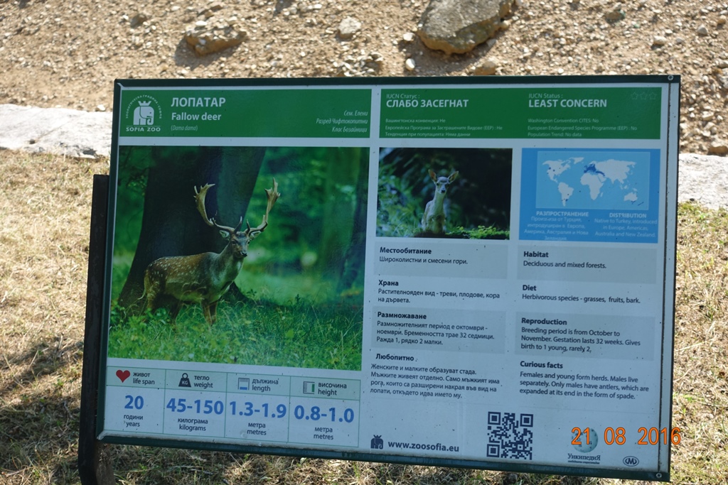 Sofia Zoo 21.8.16