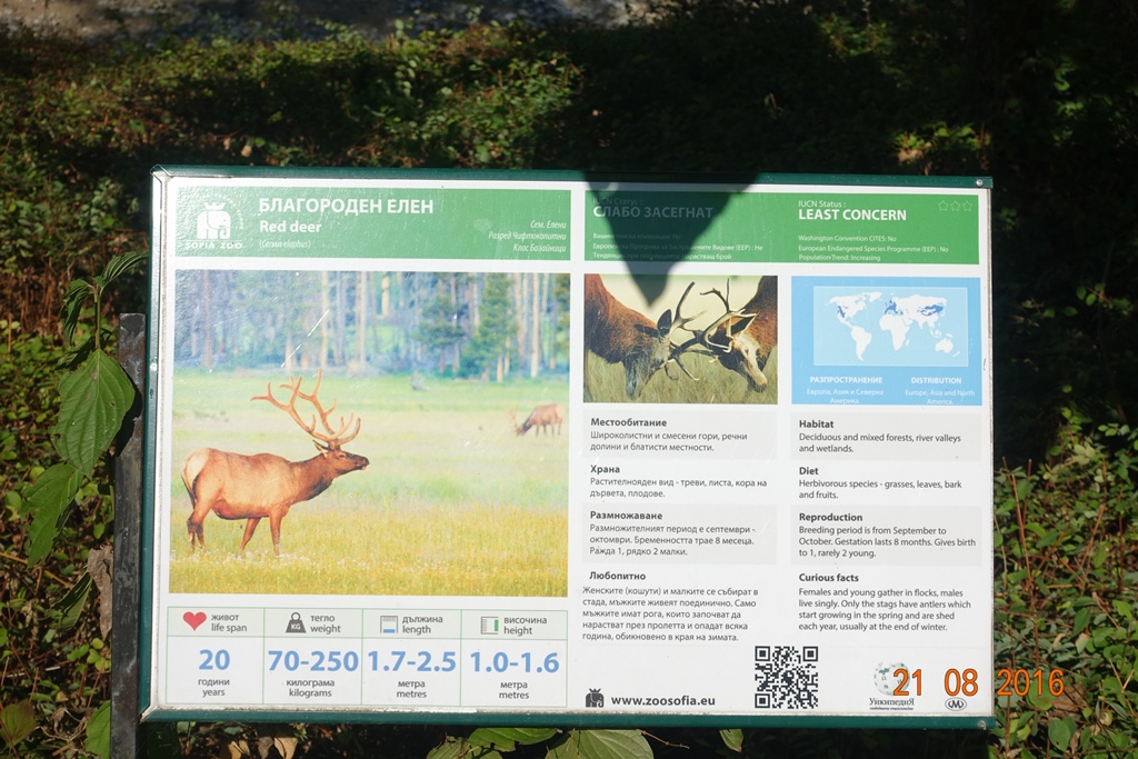 Sofia Zoo 21.8.16