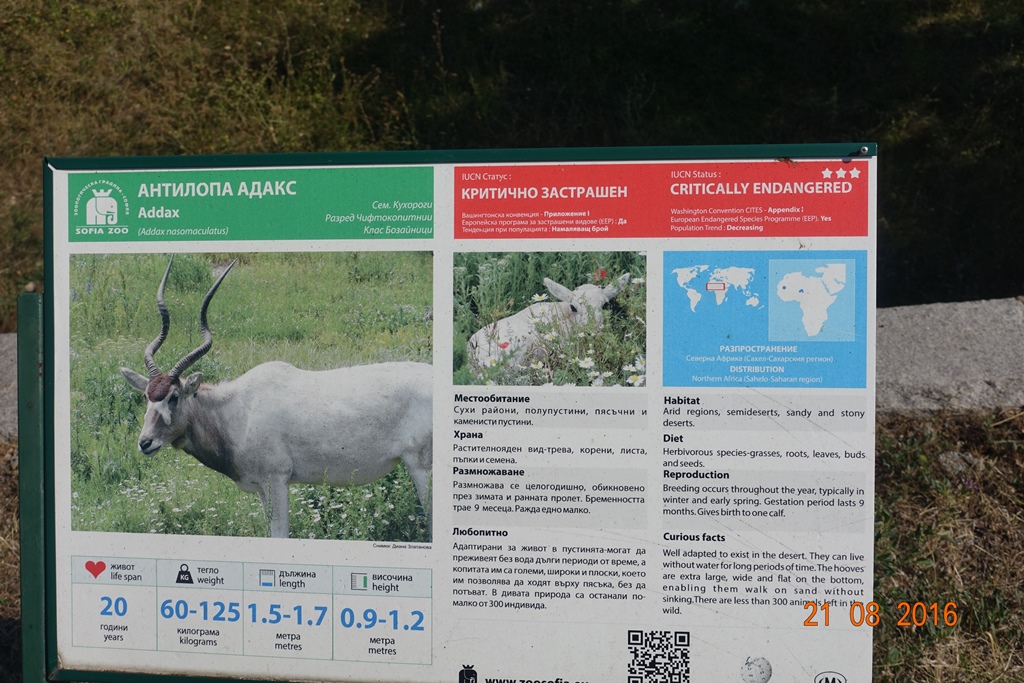 Sofia Zoo 21.8.16