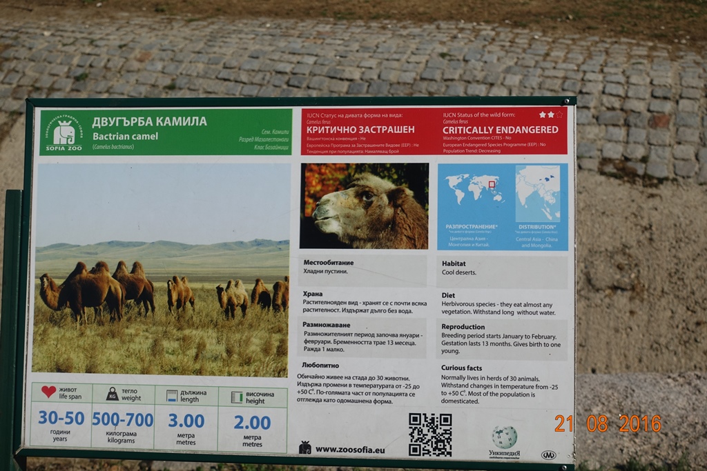 Sofia Zoo 21.8.16