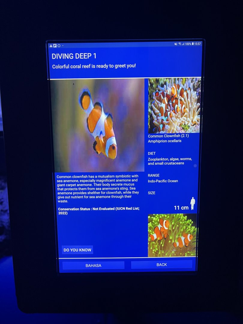 soft coral tank - common clownfish signage