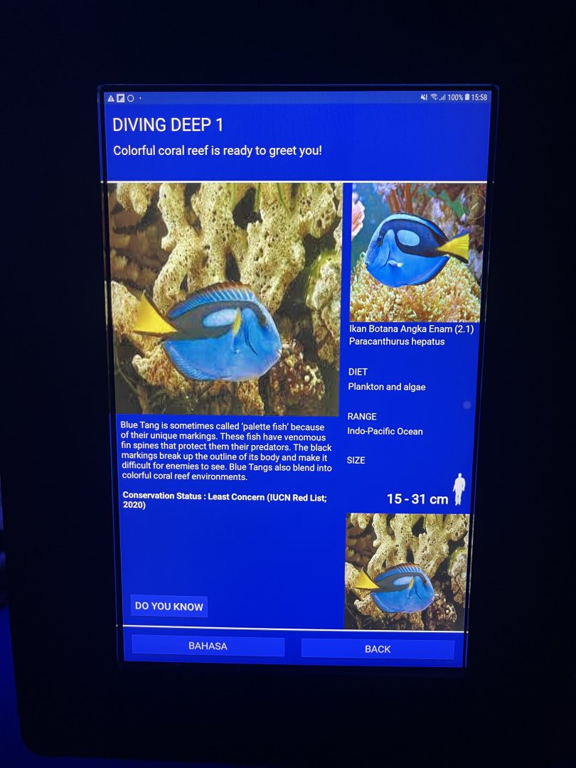 soft coral tank - regal blue tang signage