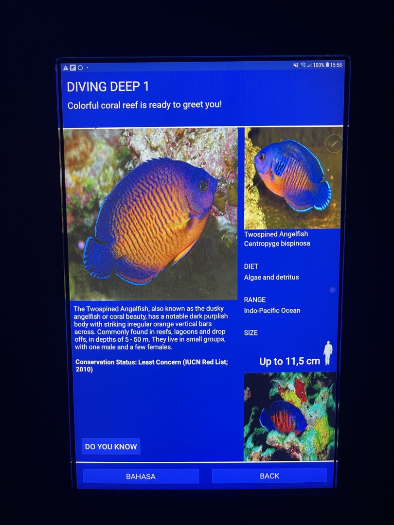 soft coral tank - twospined angelfish signage