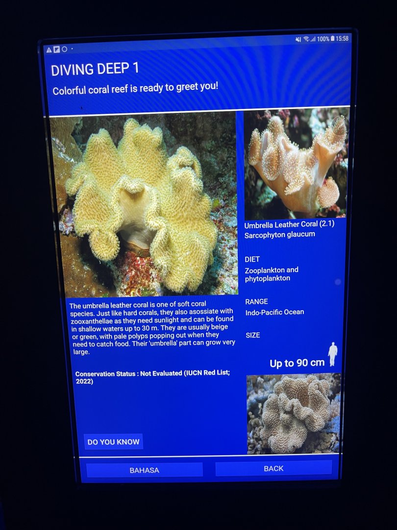 soft coral tank - umbrella leather coral signage