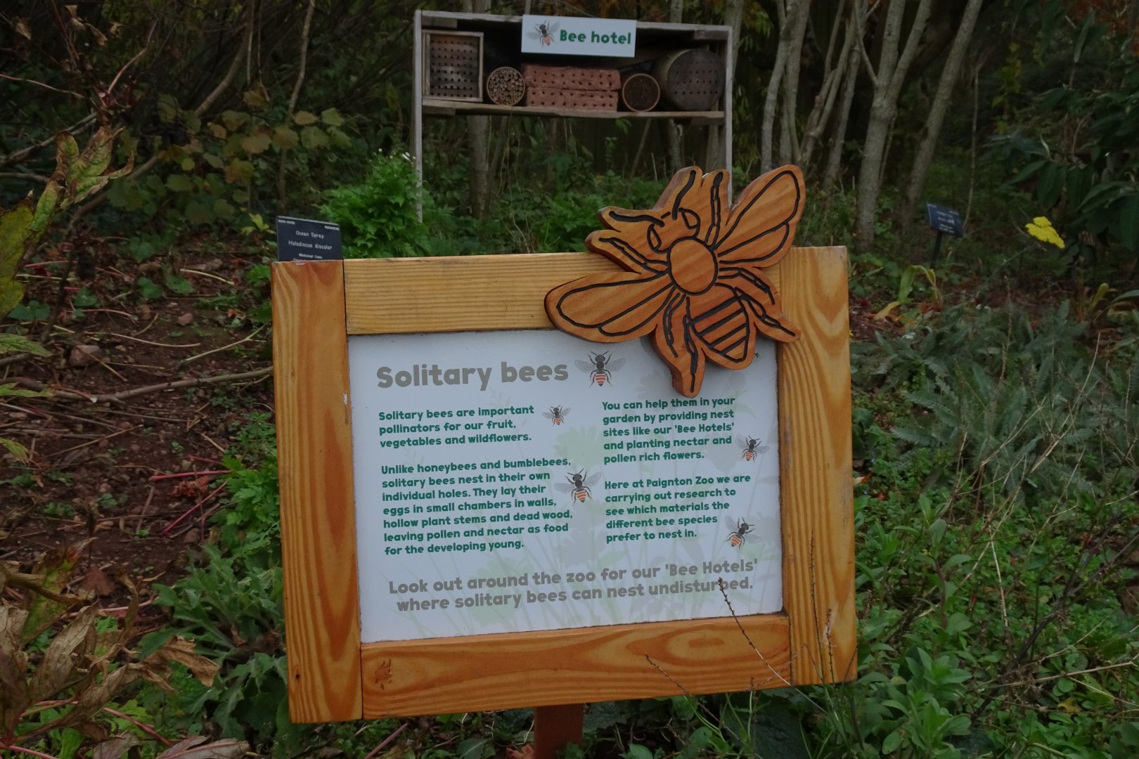 Solitary Bee sign, November 2017