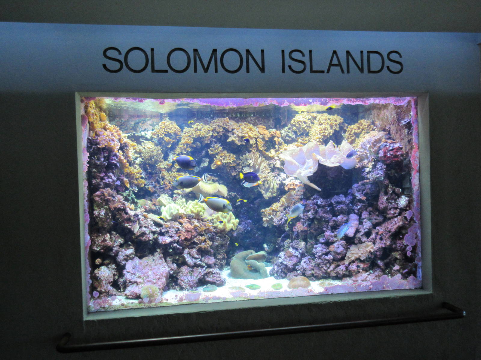 Solomon Islands Exhibit