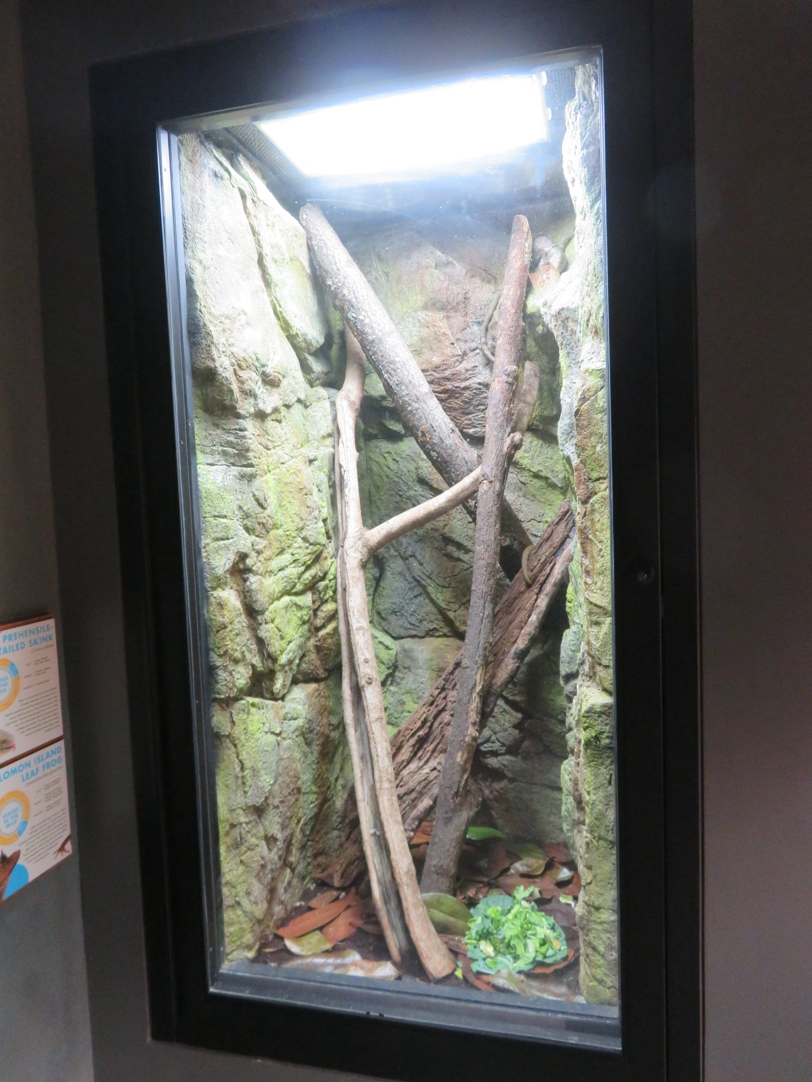 Solomon Islands Exhibit