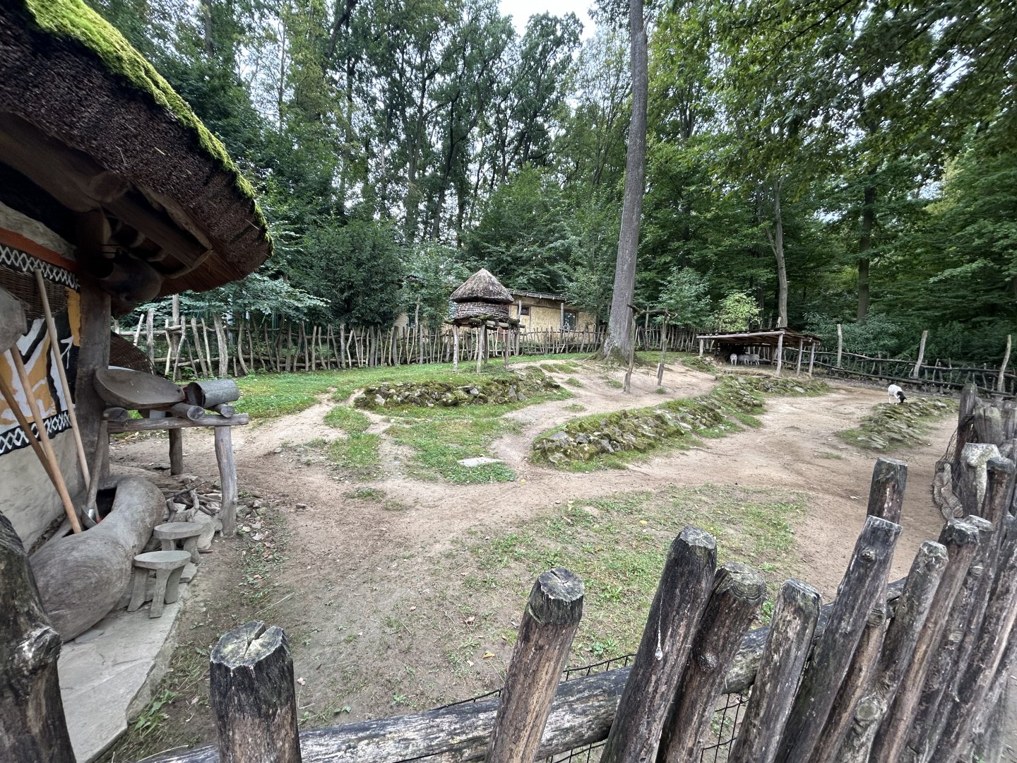 Somali Sheep Exhibit