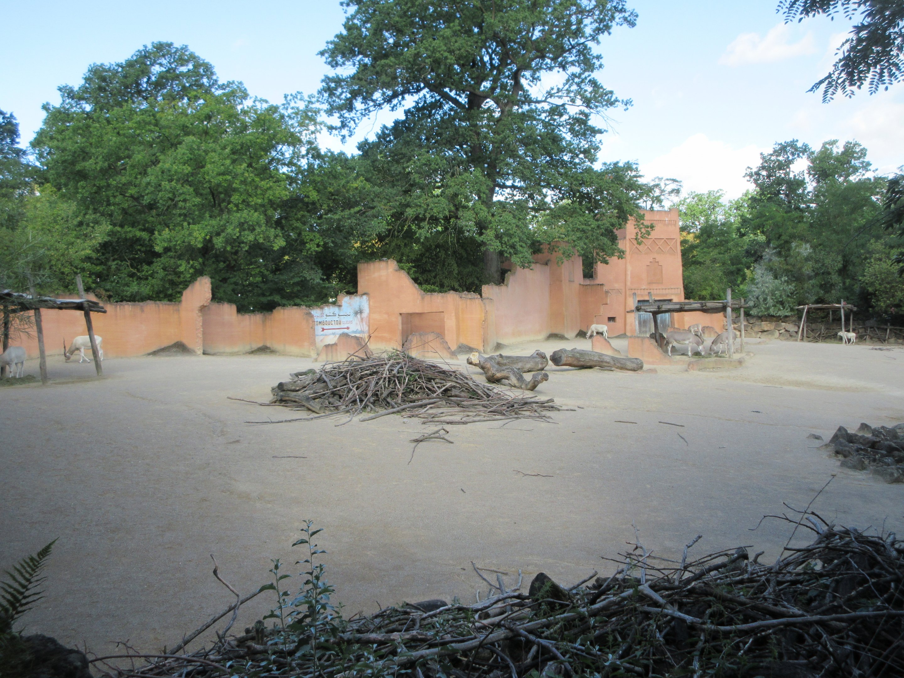 Somali Wild Ass/Addax Exhibit