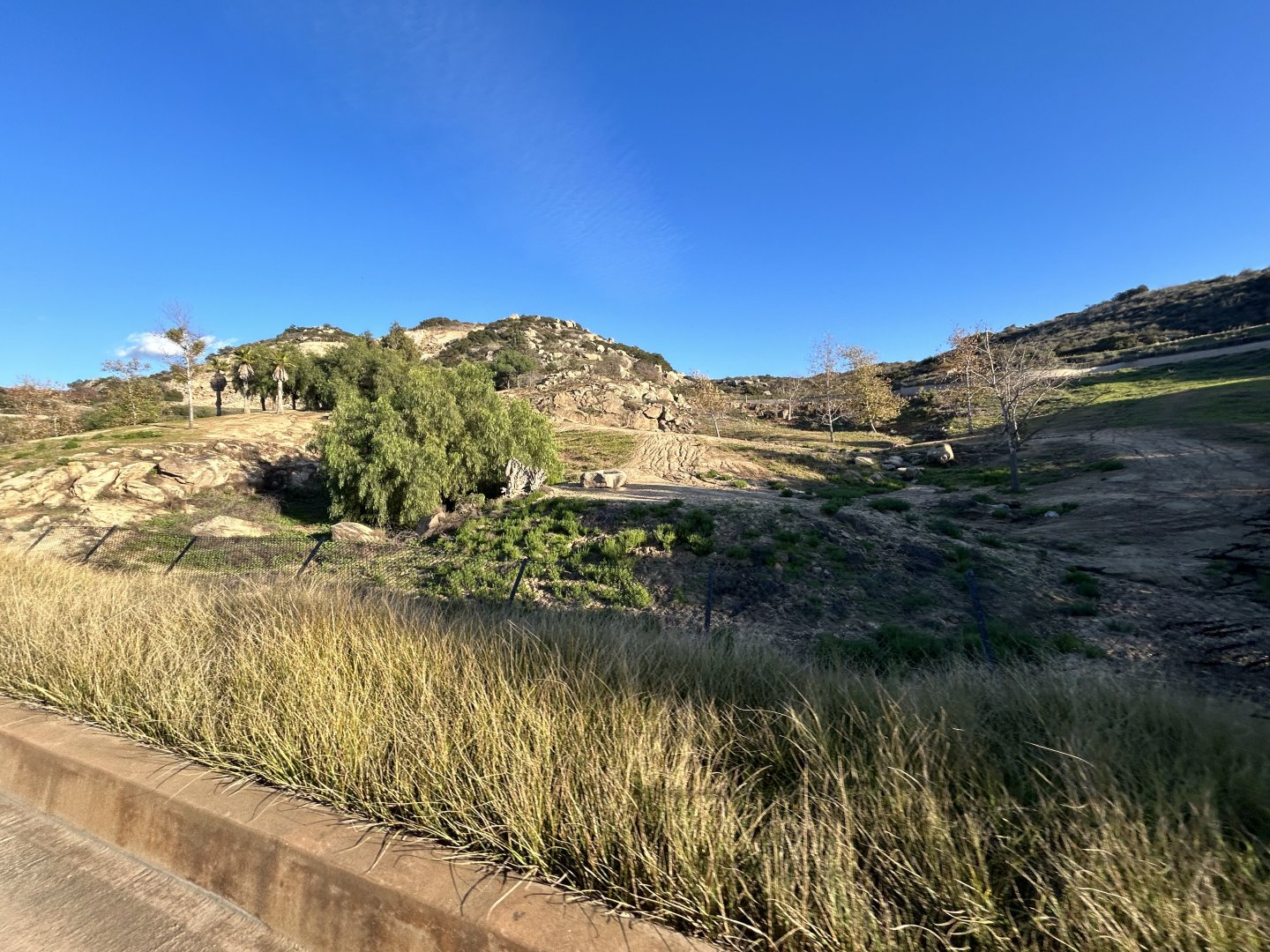 Somali Wild Ass, Dromedary Camel & Nubian Soemmerring’s Gazelle Exhibit