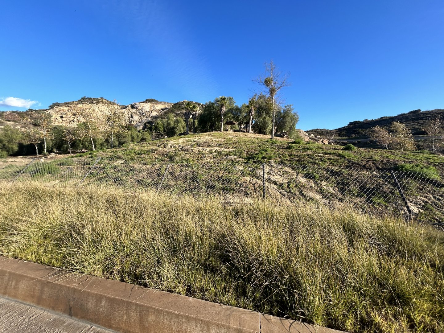 Somali Wild Ass, Dromedary Camel & Nubian Soemmerring’s Gazelle Exhibit