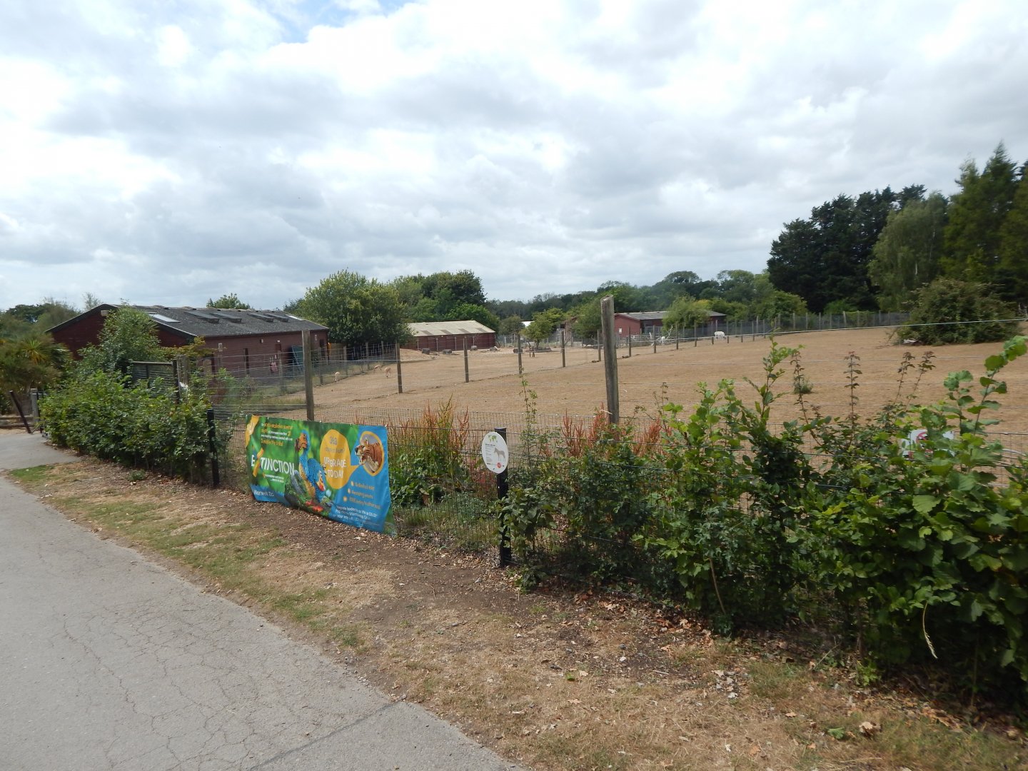 Somali wild ass enclosure 150725