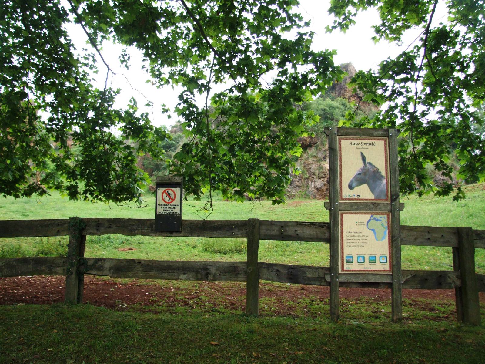 Somali Wild Ass Enclosure at Cabarceno, 11/06/15