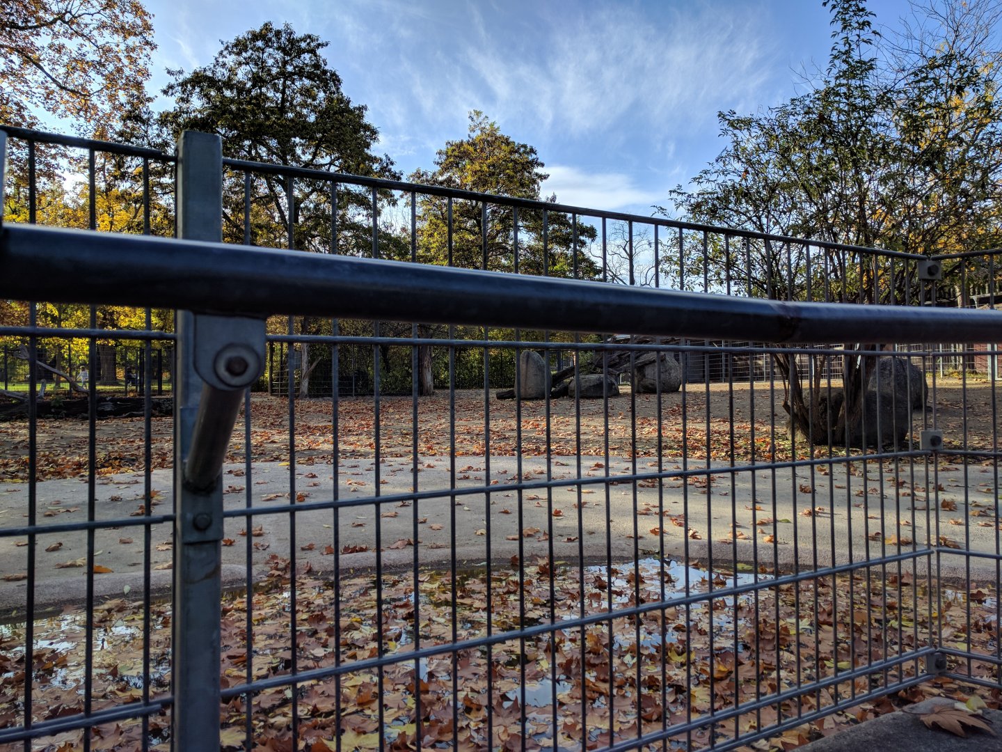 Somali wild ass Enclosure