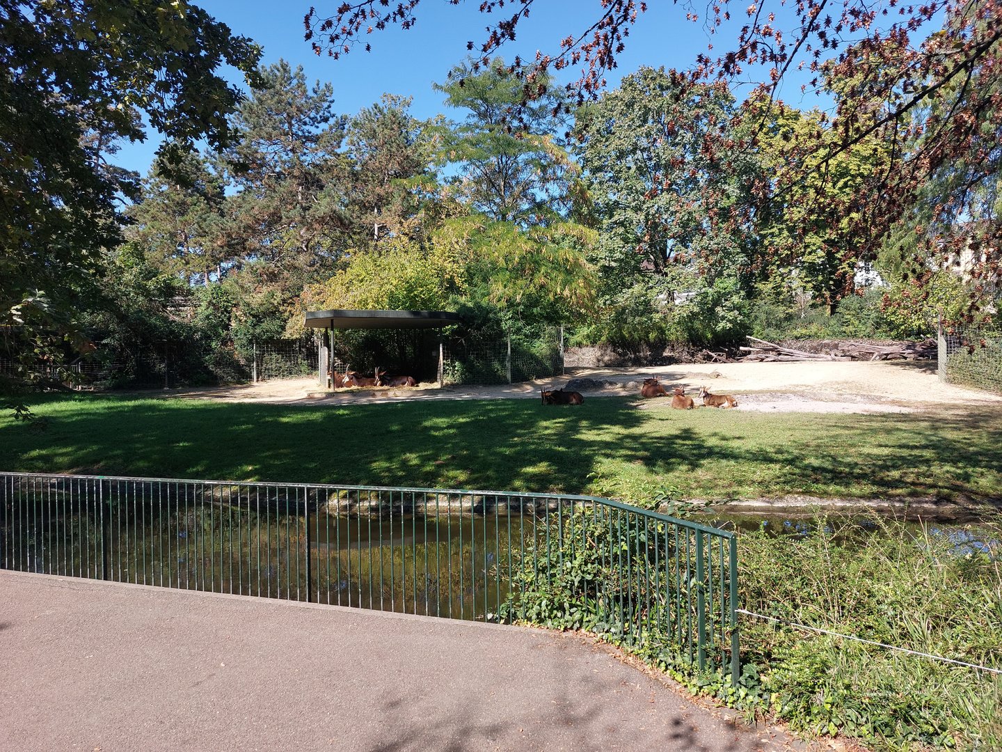 Somali wild ass enclosure