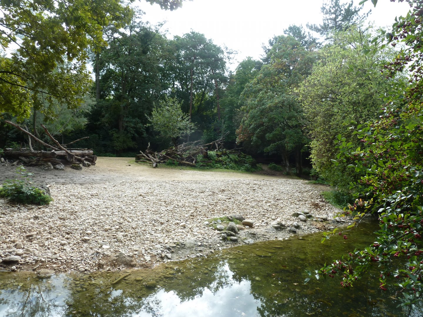 Somali wild ass enclosure