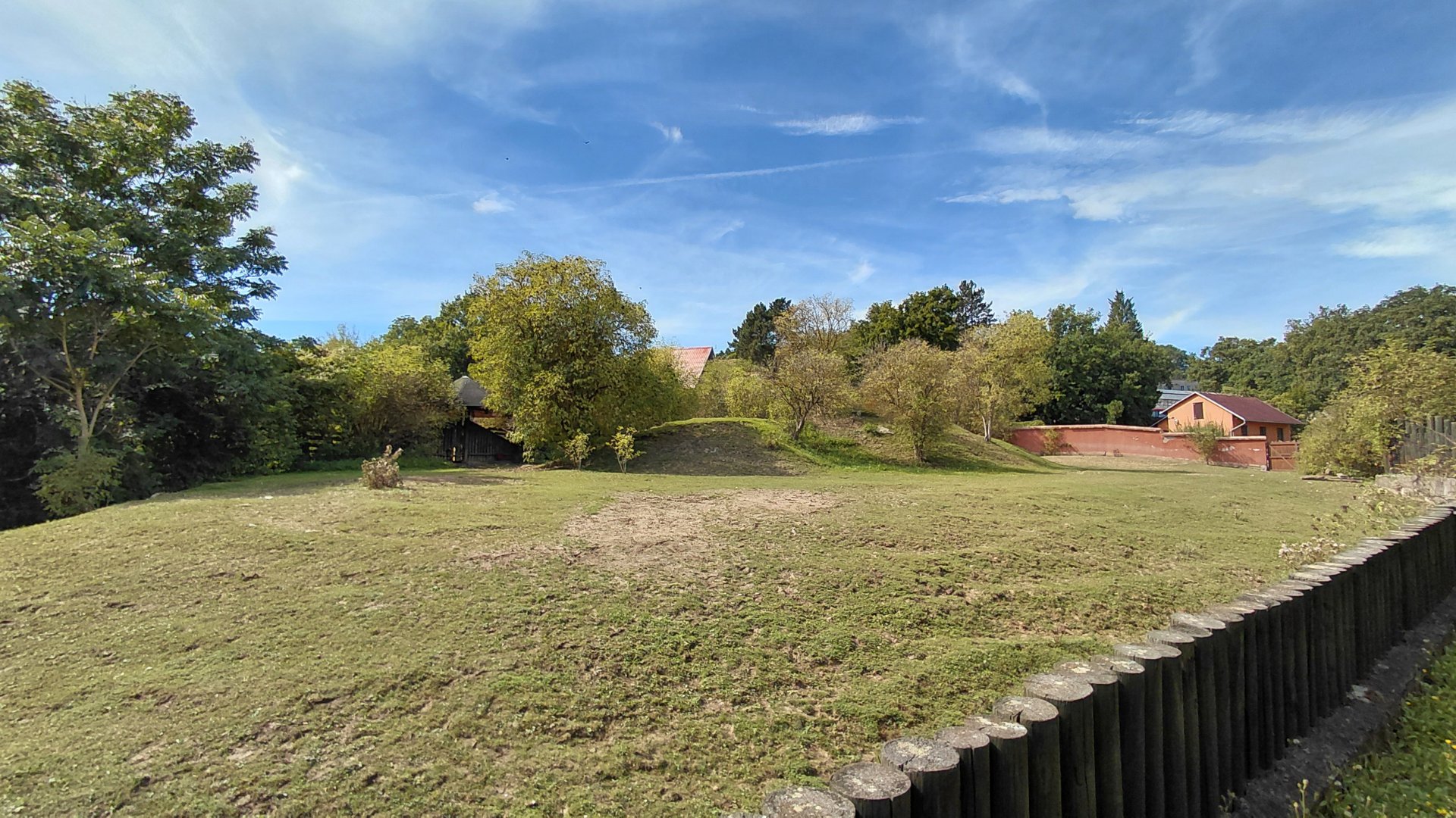 Somali wild ass exhibit