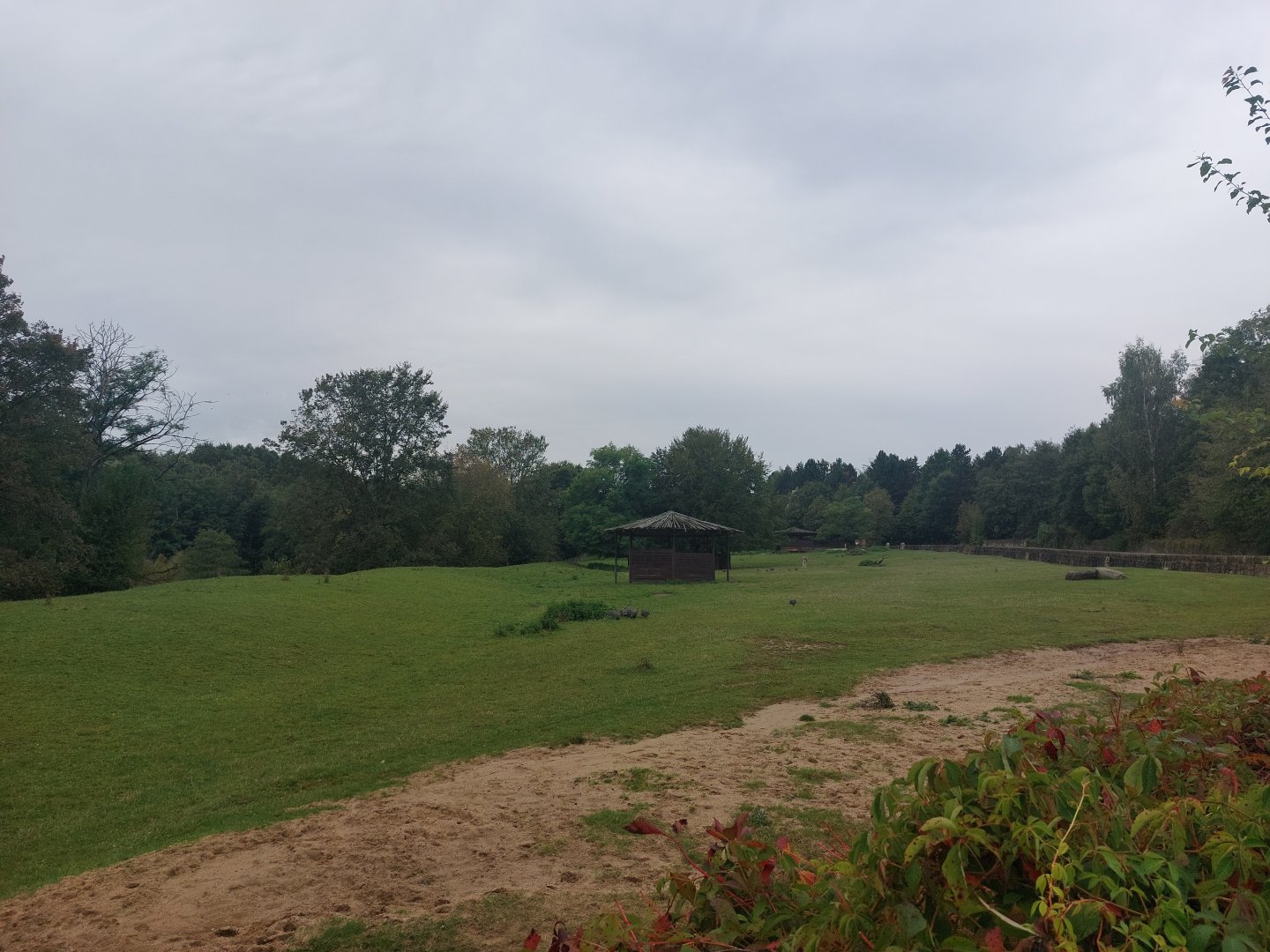 Somali wild ass & scimitar-horned oryx exhibit